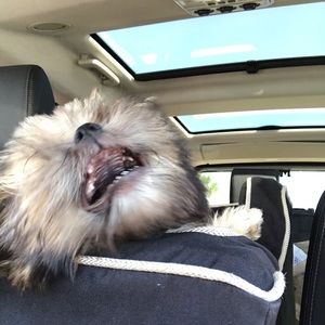 Meet your Posher, Tamara